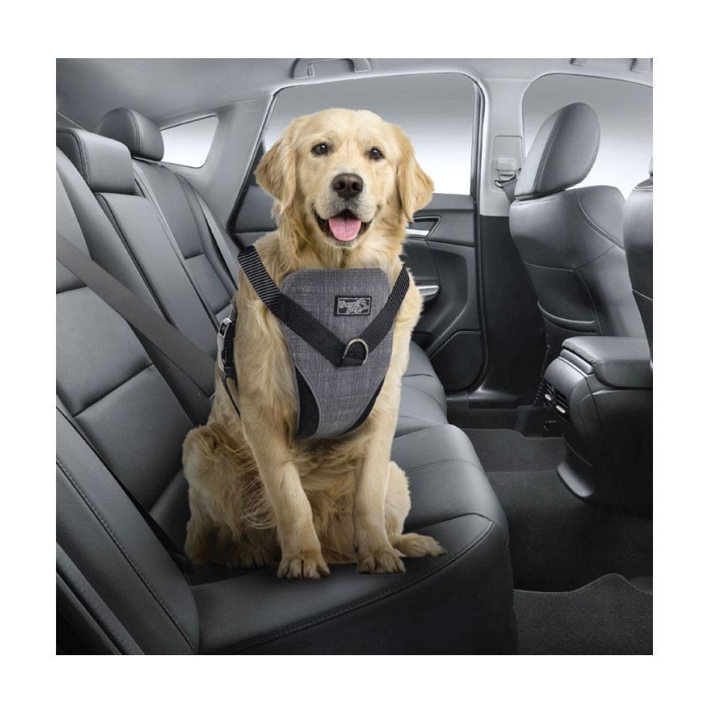 dog with car seat harness seating on back seat of car