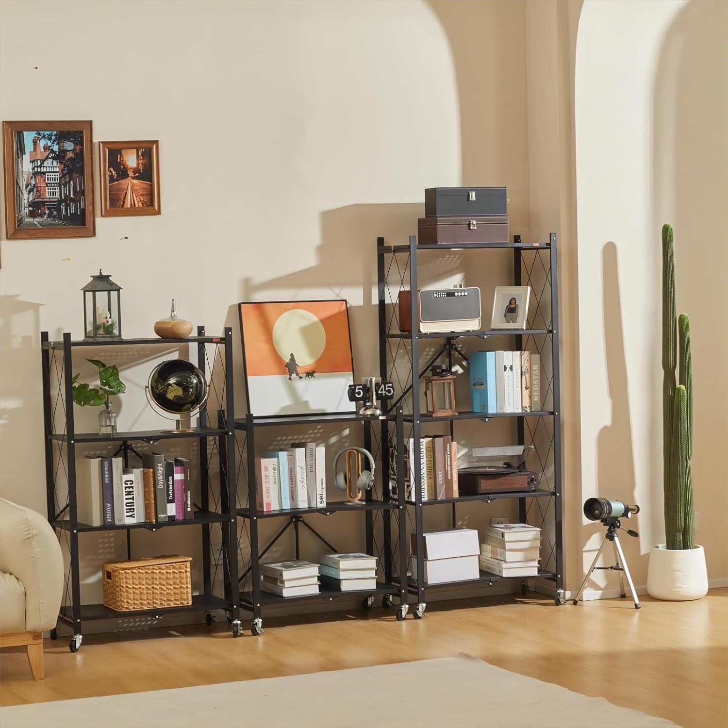 Bookshelves in a room with decor elements like books, plants, and a cactus.