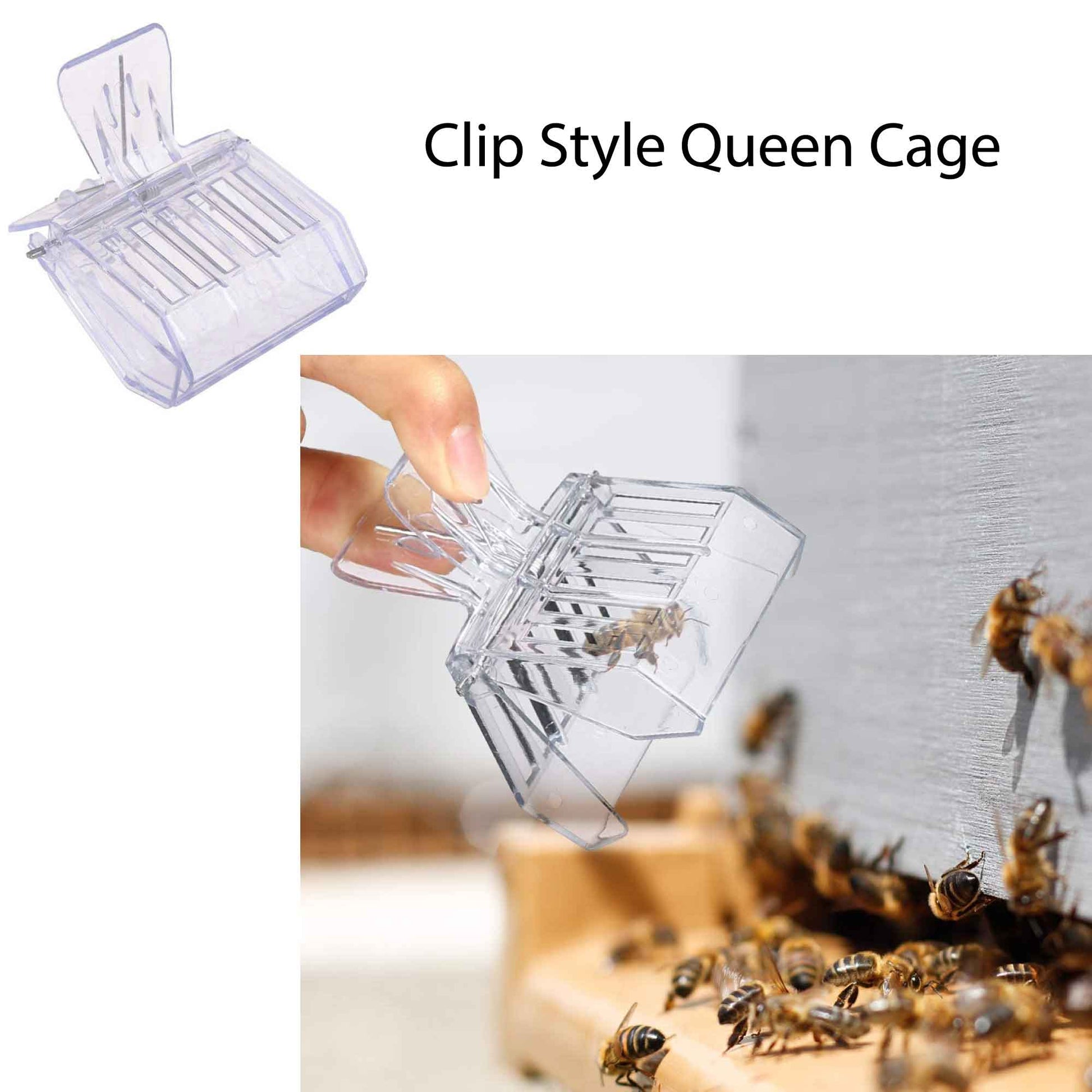 Beekeeping Tools Kit 10 Pcs - Honey Bee Hive Beekeeper Starter Pack - Image 8