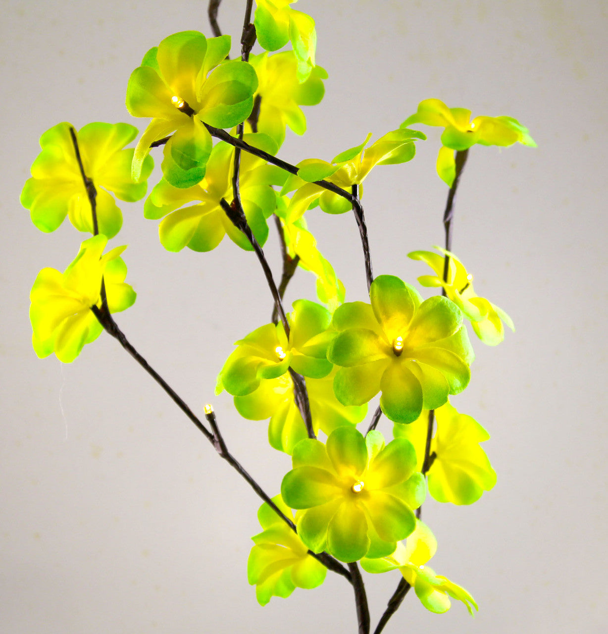 1 Set of 50cm H 20 LED Green Frangipani Tree Branch Stem Fairy Light Wedding Event Party Function Table Vase Centrepiece Trop