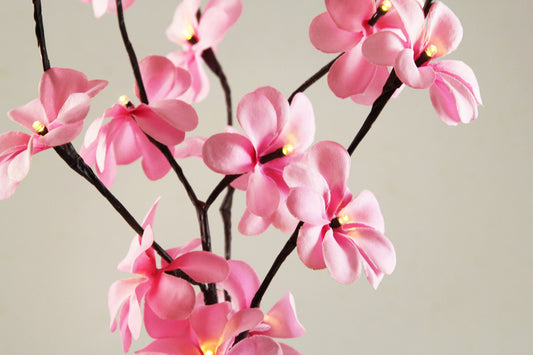 1 Set of 50cm H 20 LED Pink Frangipani Tree Branch Stem Fairy Light Wedding Event Party Function Table Vase Centrepiece Decor