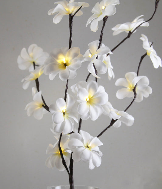 1 Set of 50cm H 20 LED White Frangipani Tree Branch Stem Fairy Light Wedding Event Party Function Table Vase Centrepiece Deco