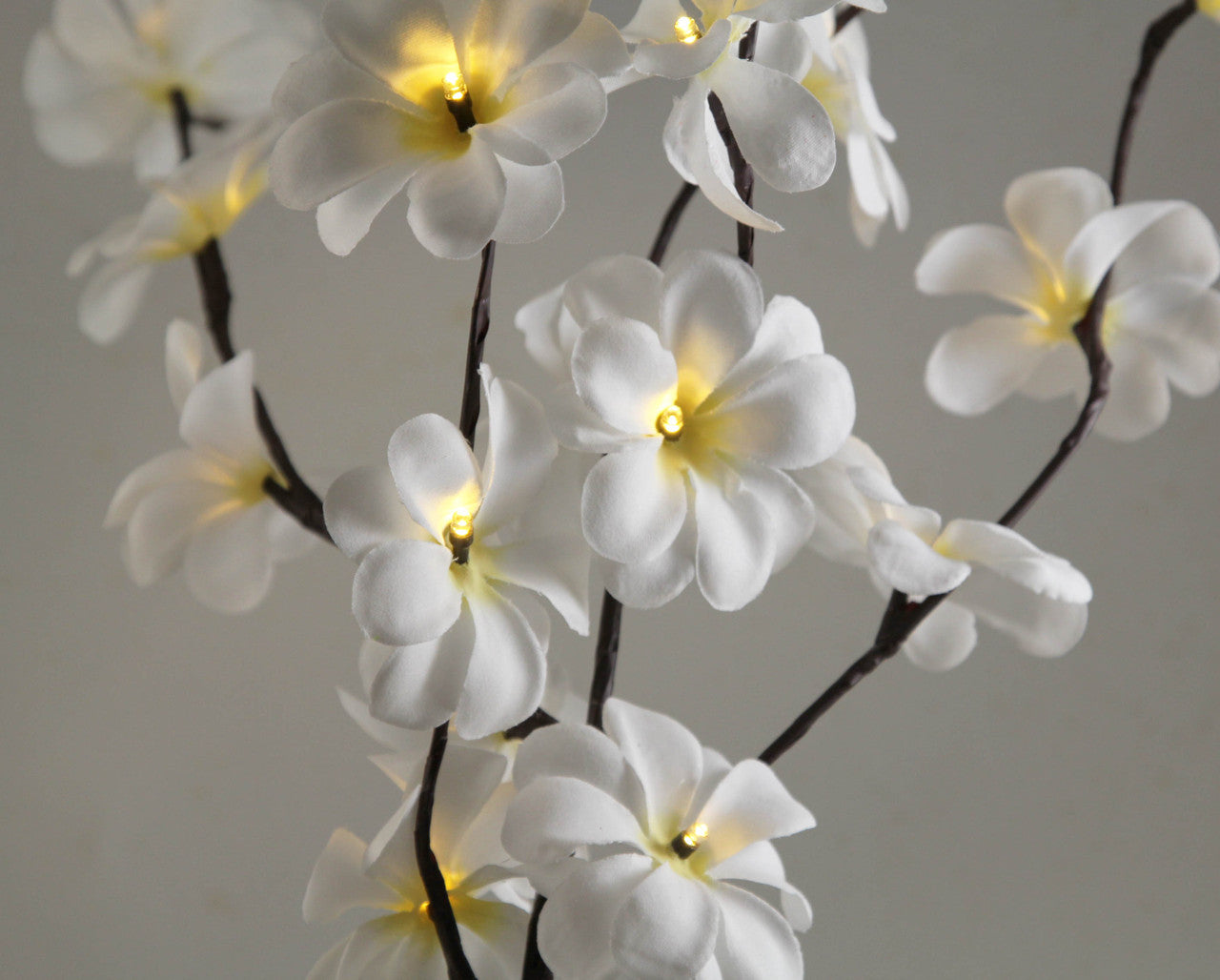 1 Set of 50cm H 20 LED White Frangipani Tree Branch Stem Fairy Light Wedding Event Party Function Table Vase Centrepiece Deco