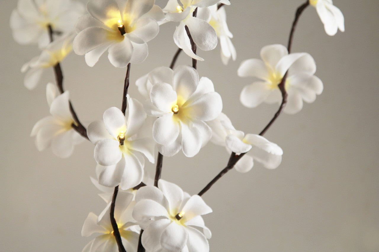 1 Set of 50cm H 20 LED White Frangipani Tree Branch Stem Fairy Light Wedding Event Party Function Table Vase Centrepiece Deco