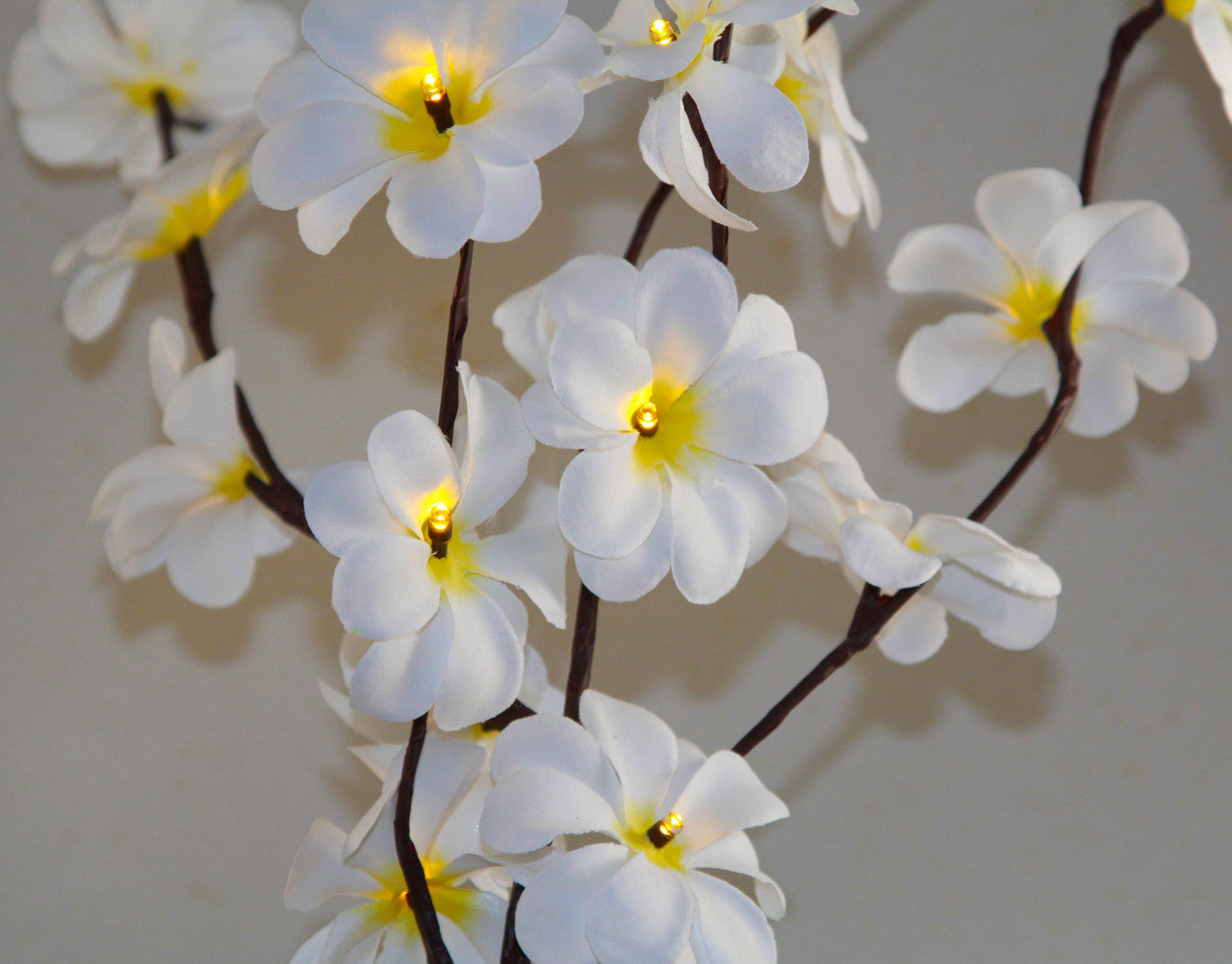 1 Set of 50cm H 20 LED White Frangipani Tree Branch Stem Fairy Light Wedding Event Party Function Table Vase Centrepiece Deco