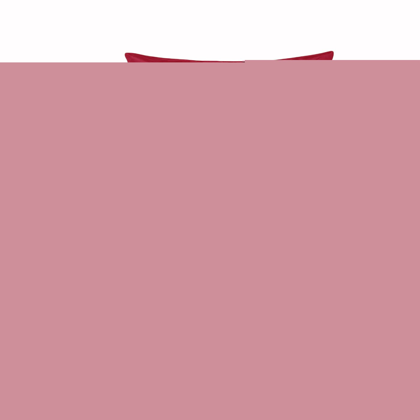 PepperMIll Satin European Pillowcases ( Pair ) RED
